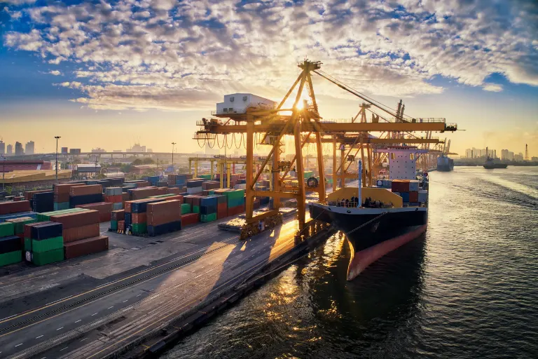 Professional Freight Forwarding Services managing international cargo transportation and global logistics